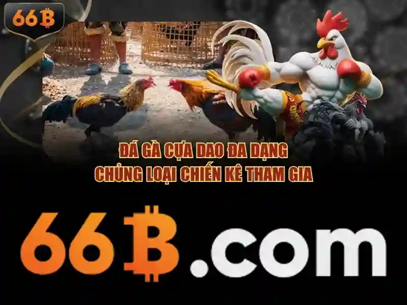 66b: một khái niệm và hành trình phát triển