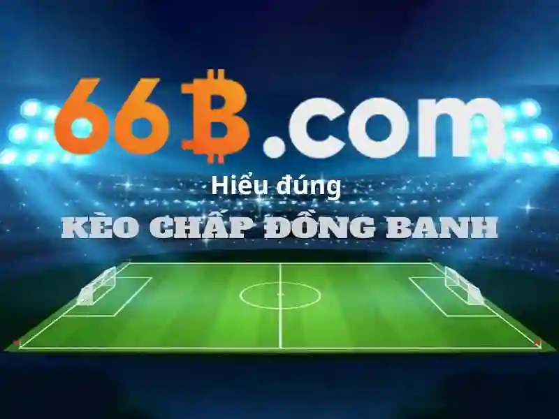 Giới thiệu về 66B