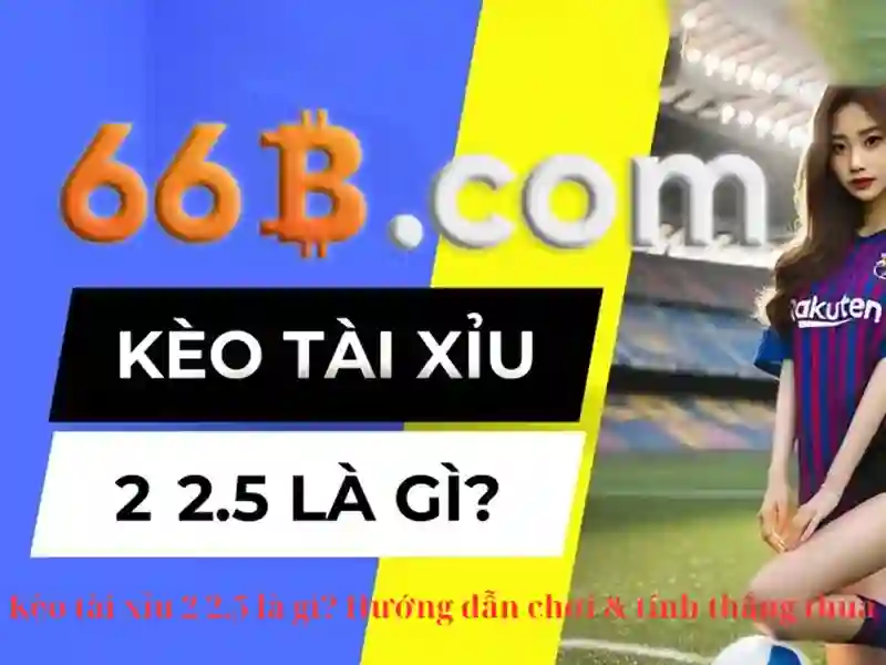 Ứng dụng và trường hợp sử dụng\n