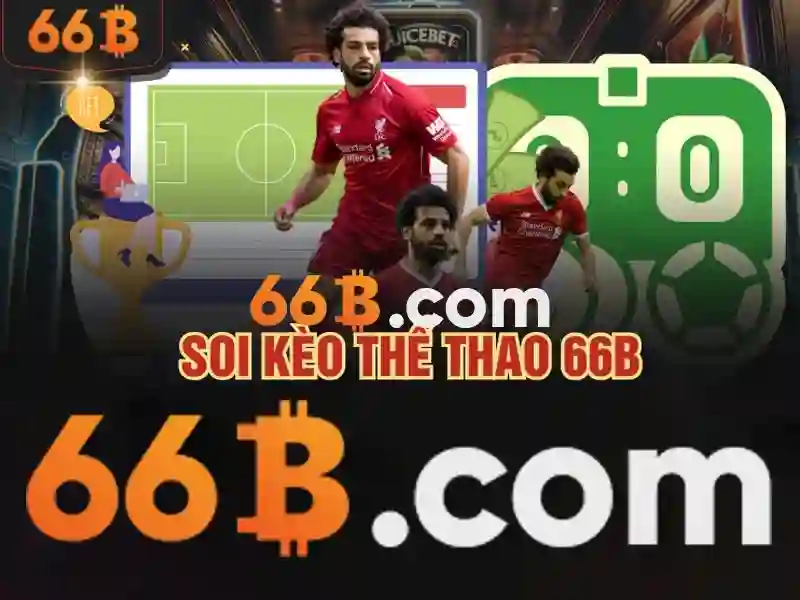 66b trong công nghệ và đời sống