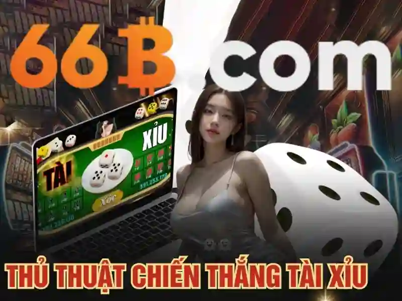 66b là gì\n