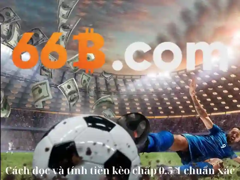 66b: một ký hiệu và ý nghĩa