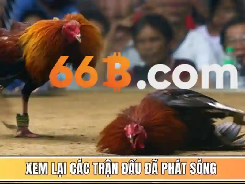 66b nguyễn si sách – Nền tảng sáng tạo và kết nối